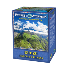 Himálajský ájurvédský čaj - KUDZU - Posílení svalstva a fitness - min. trvanlivost 17.5.2025