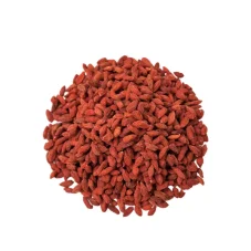Goji kustovnice čínská