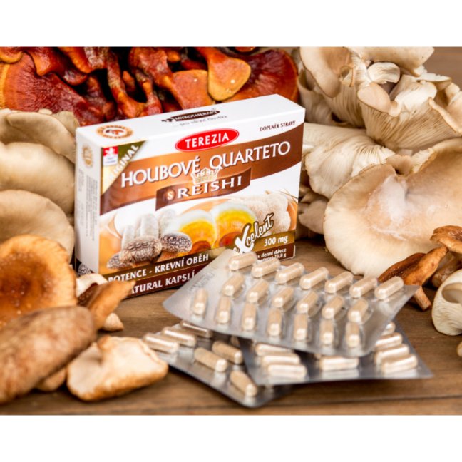 Houbové quarteto s reishi 60 kapslí