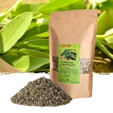 Šalvěj list (Salvia officinalis) - bylinka